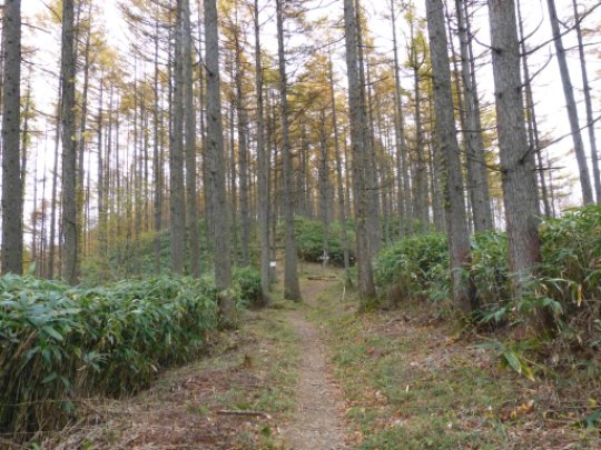富士見台高原口